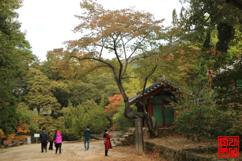 경주문화재사랑봉사단