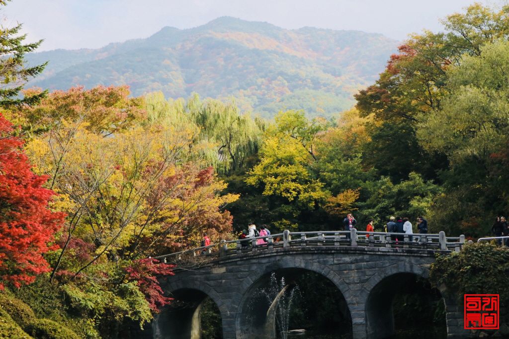 경주불국사