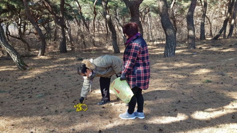 경주문화재사랑봉사단