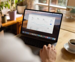 워드프레스 유료 테마/무료 테마 순위